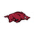 University of Arkansas Gameday Accessories